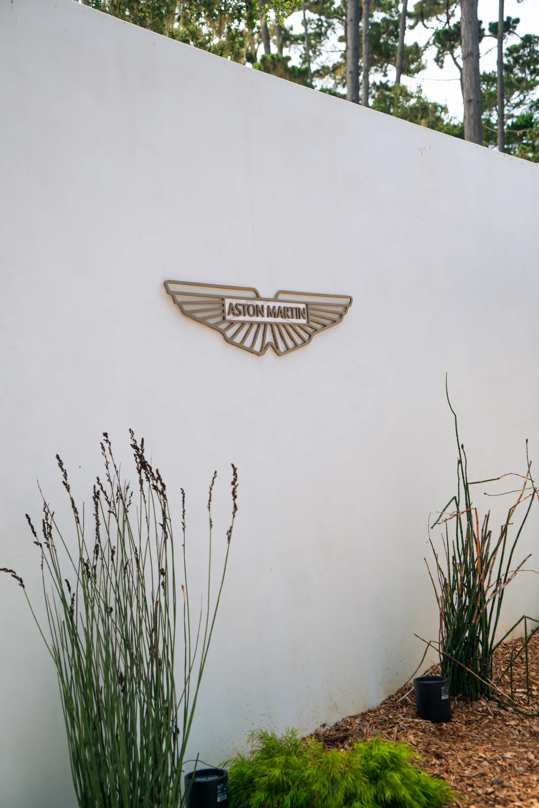 Wings on White, Aston Martin Vanquish Volante