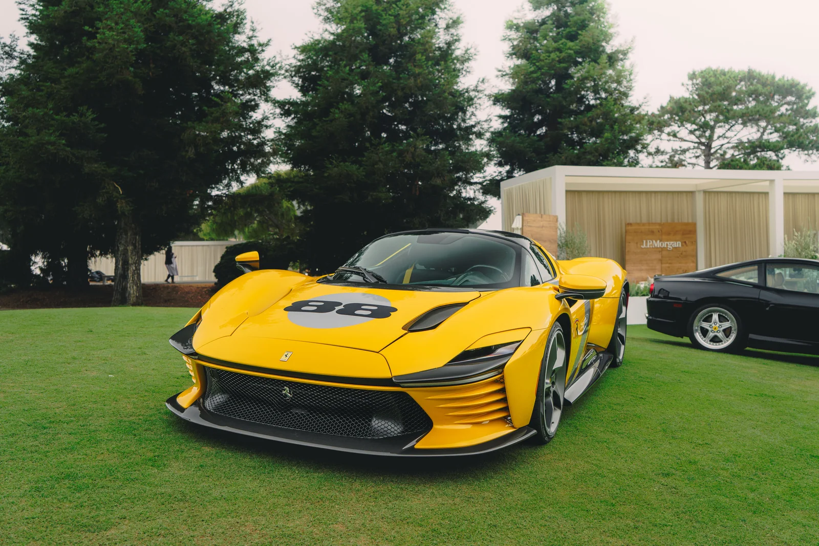 Yellow Debut, The Quail 2025