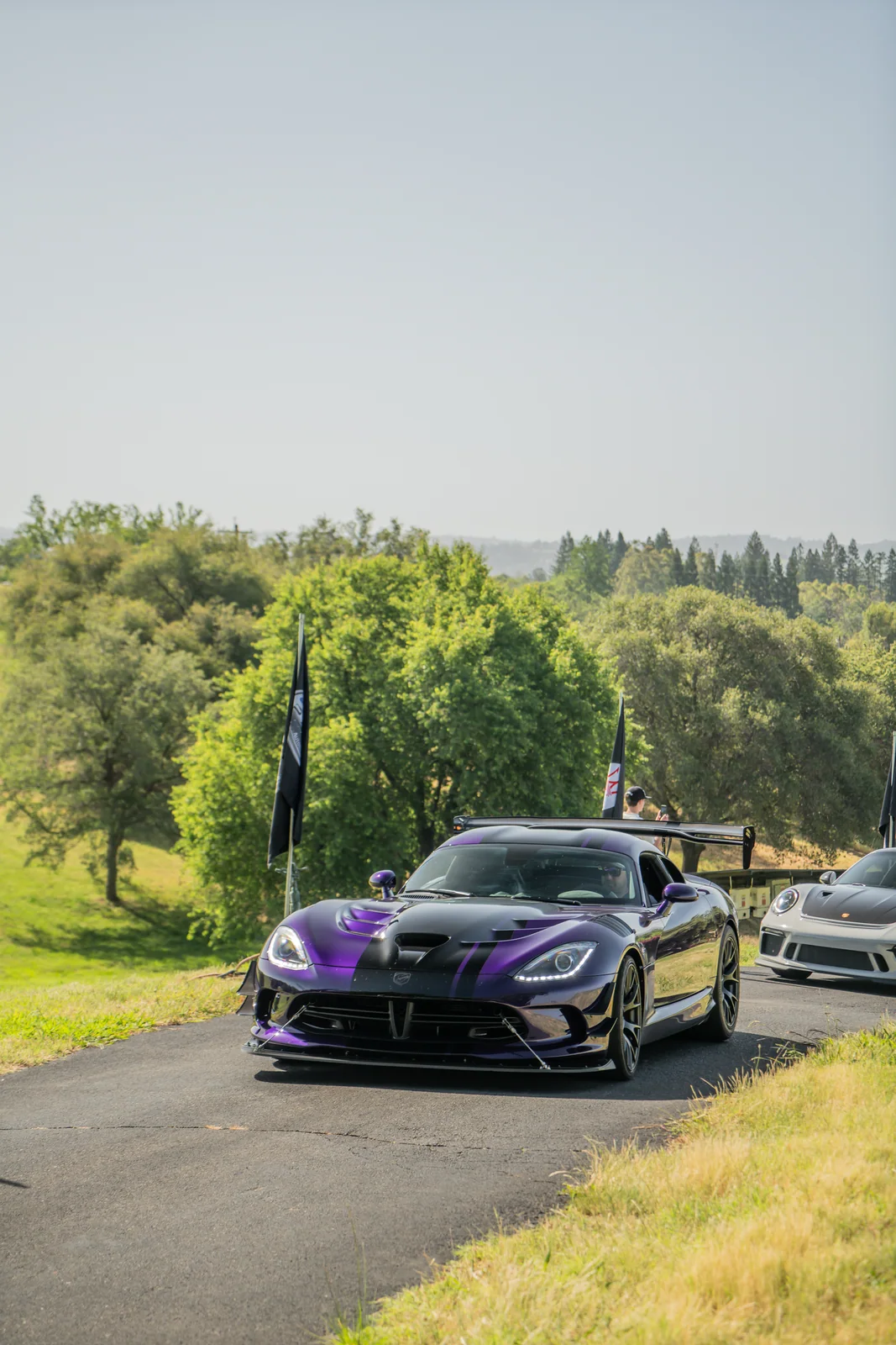 Purple Viper, Super Sunday 2024