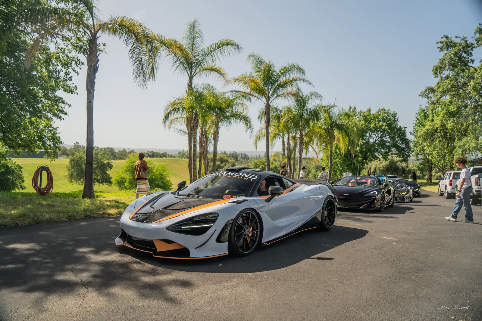 Palms and Papaya, Super Sunday 2024
