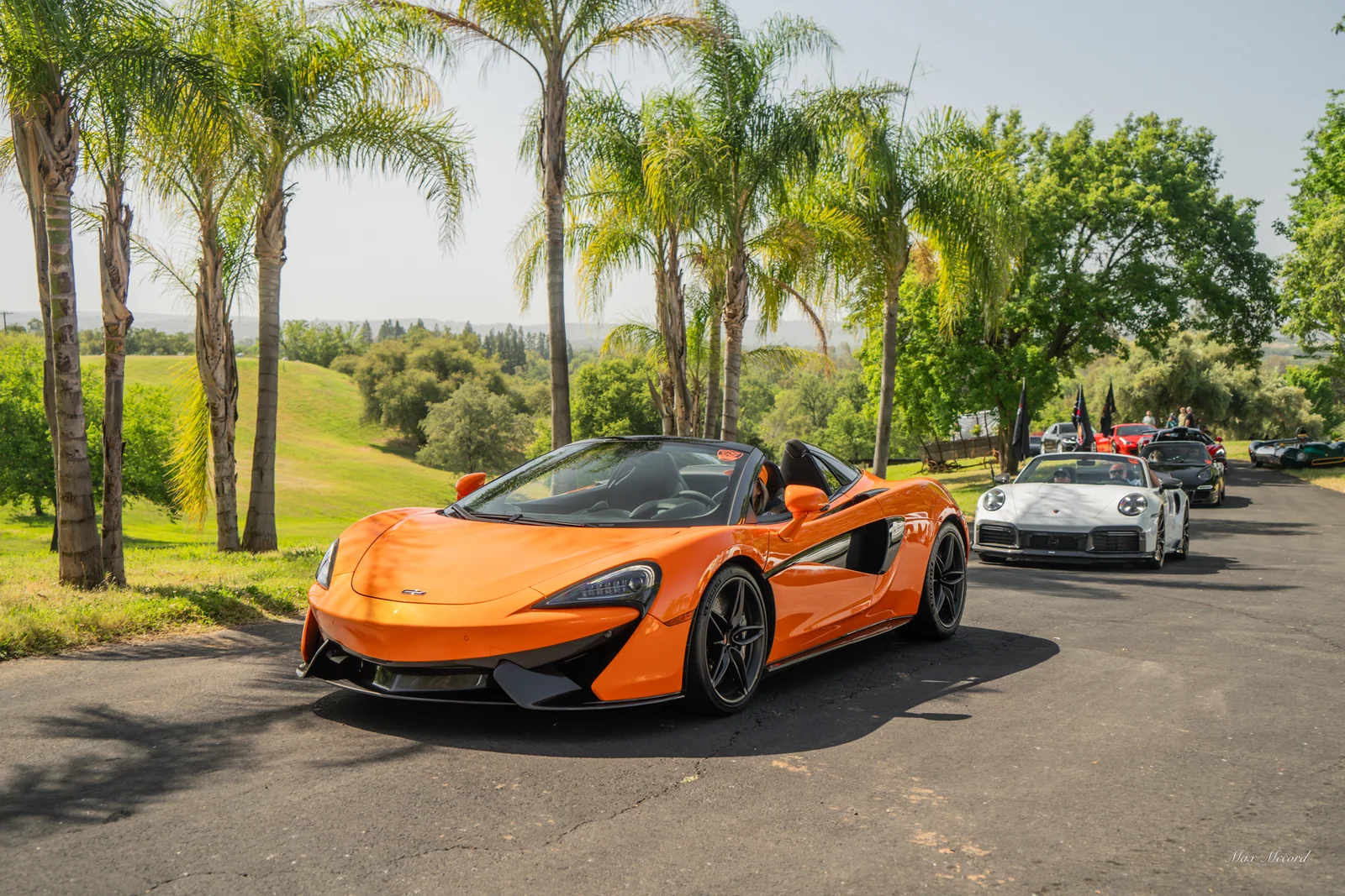 Orange Spider, Super Sunday 2024