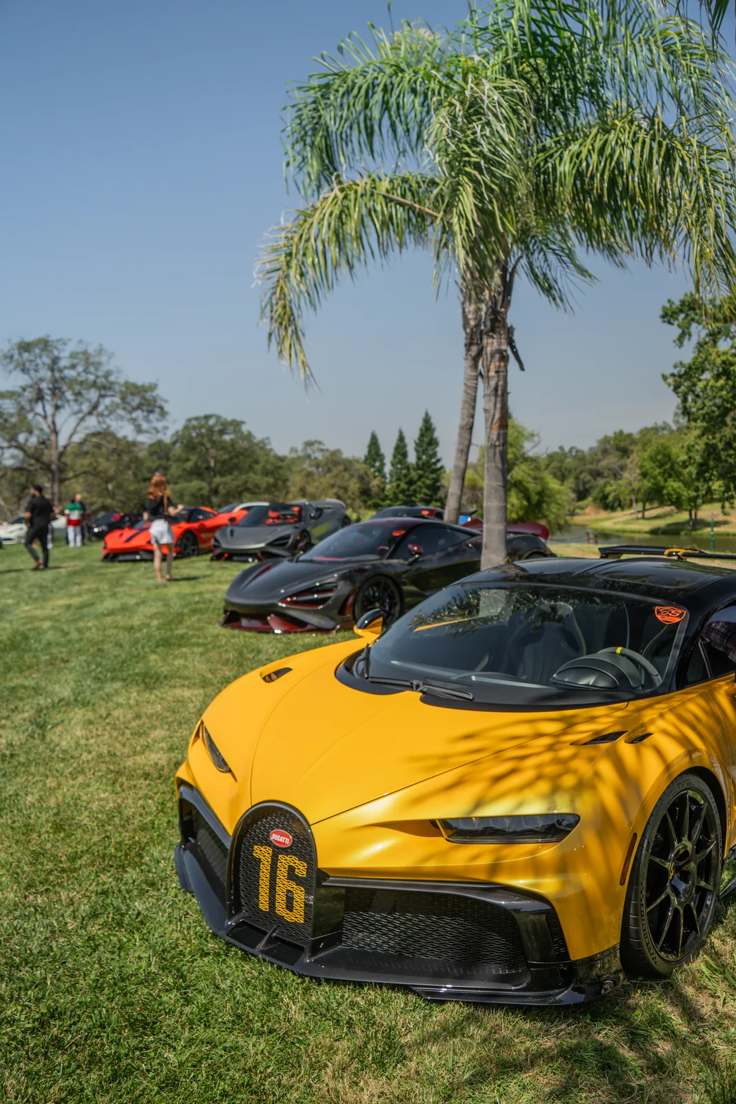 Chiron in the Shade, Super Sunday 2024
