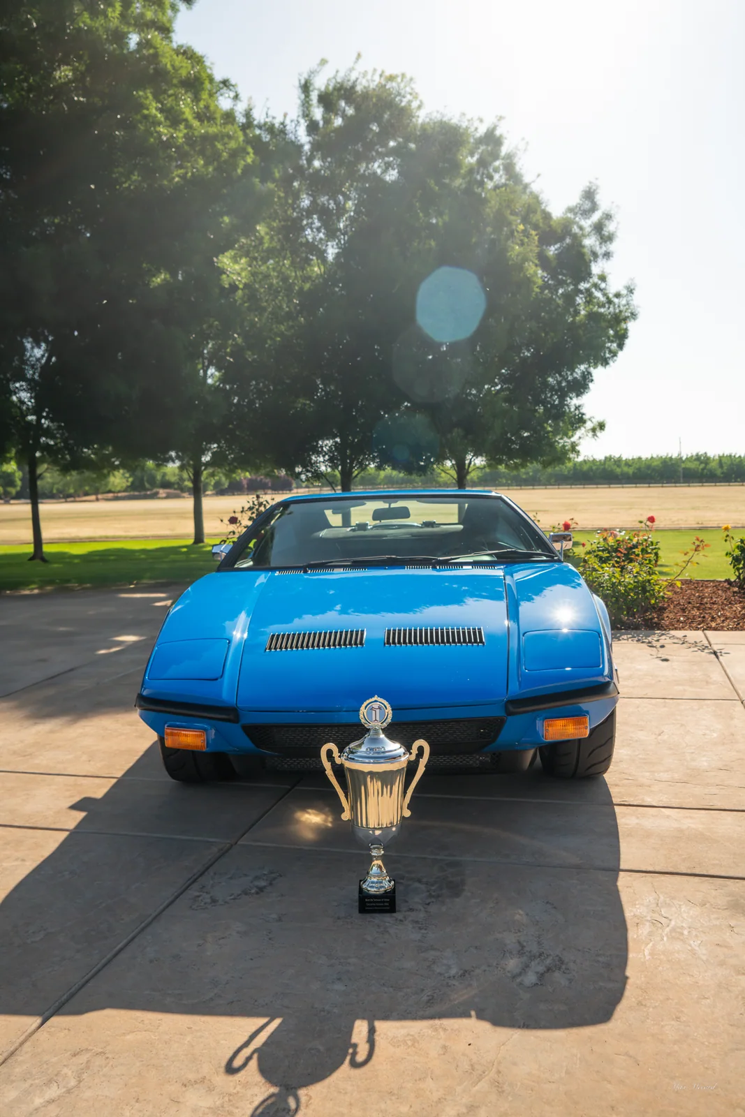 Trophy Winner, Super Sunday 2025
