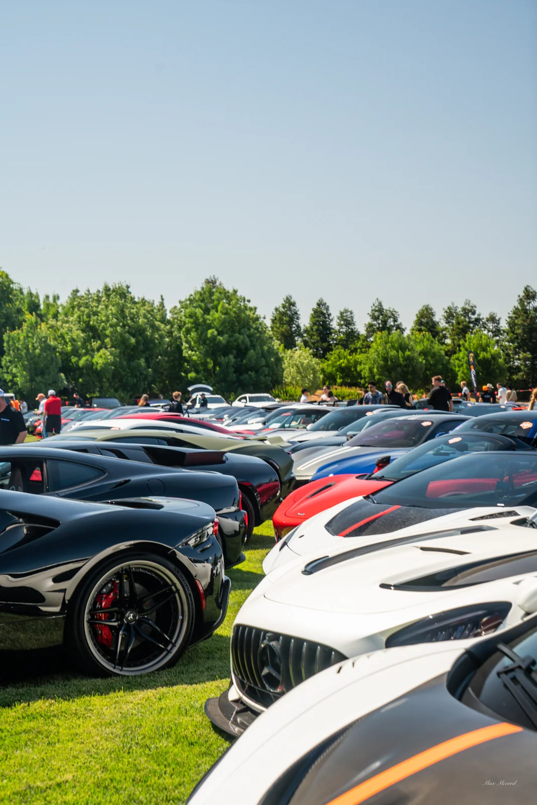 Wall of Exotics, Super Sunday 2025