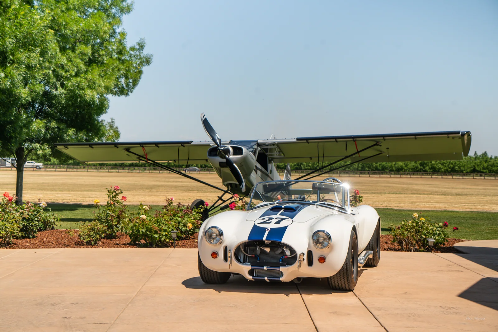 Cobra and the Plane, Super Sunday 2025