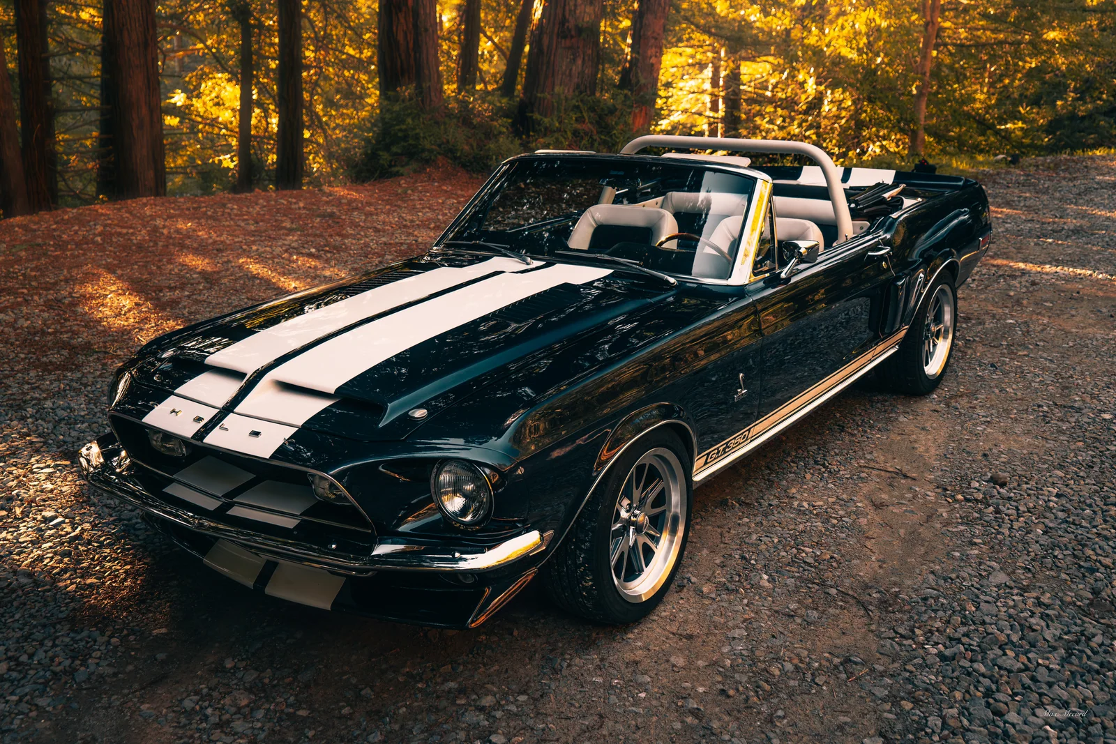 Shelby in the Pines, JB Today Studios feature
