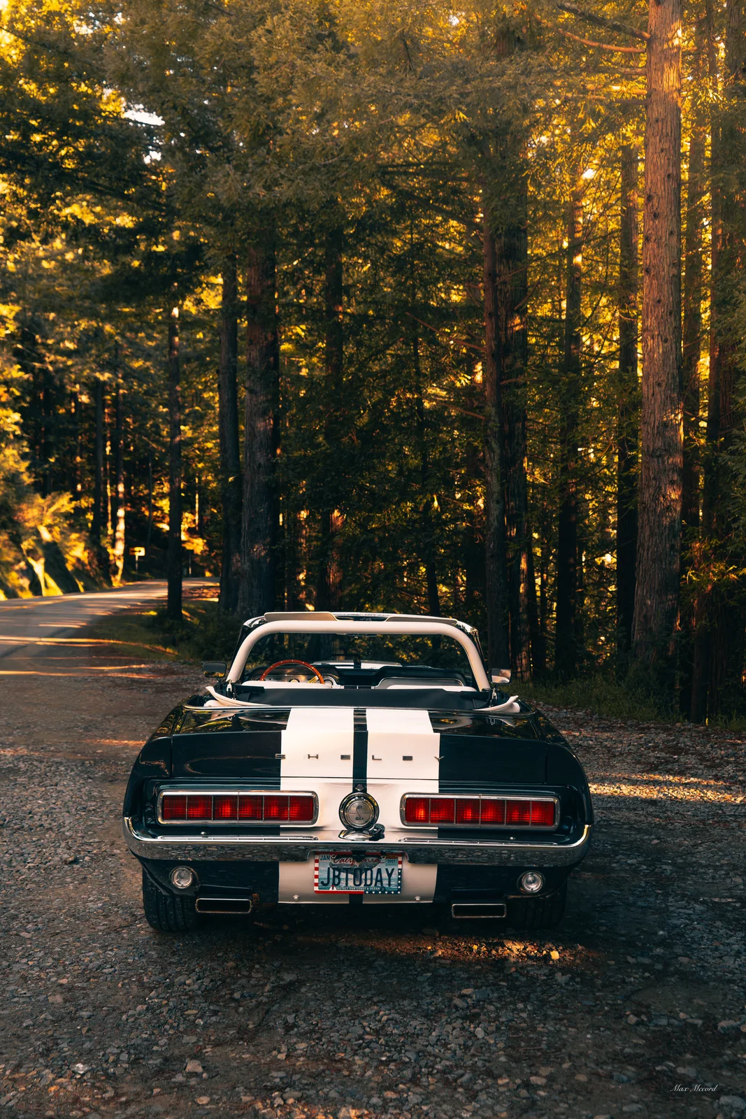 Stripes in the Woods, JB Today Studios feature