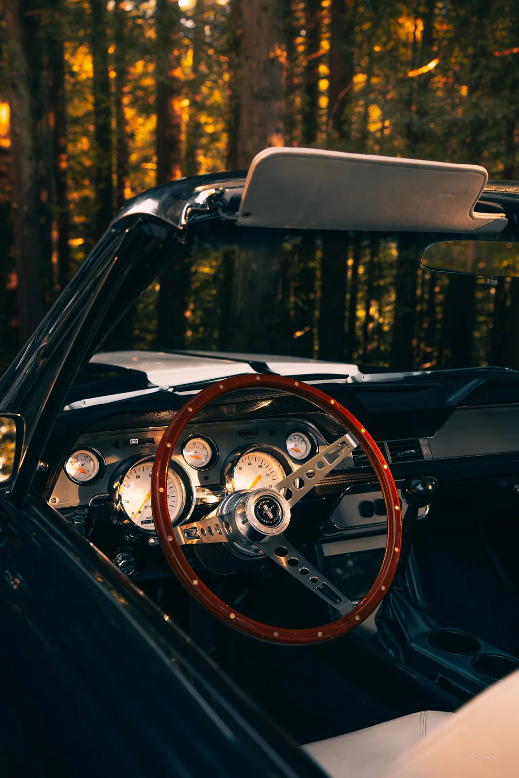 Cockpit in the Trees, JB Today Studios feature
