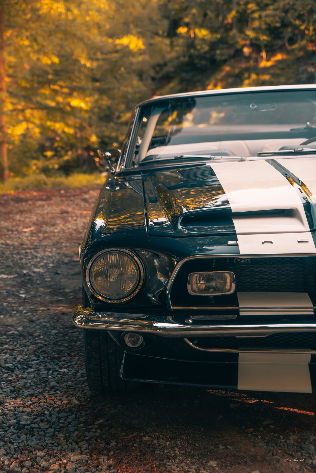 Shelby Grille, JB Today Studios feature