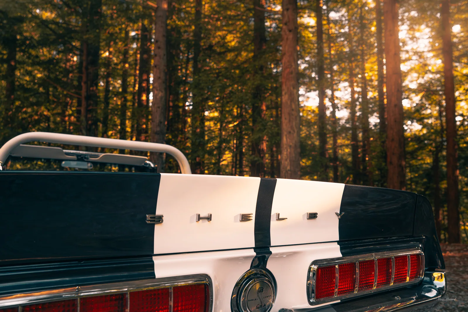 Tail Lights and Trees, JB Today Studios feature