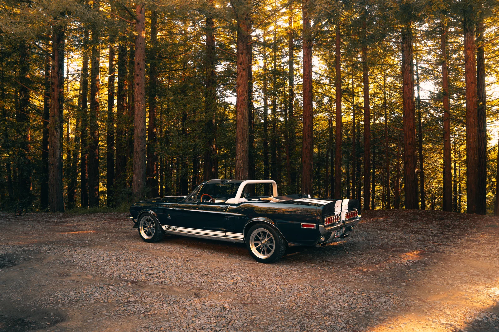 Deep Woods Profile, JB Today Studios feature