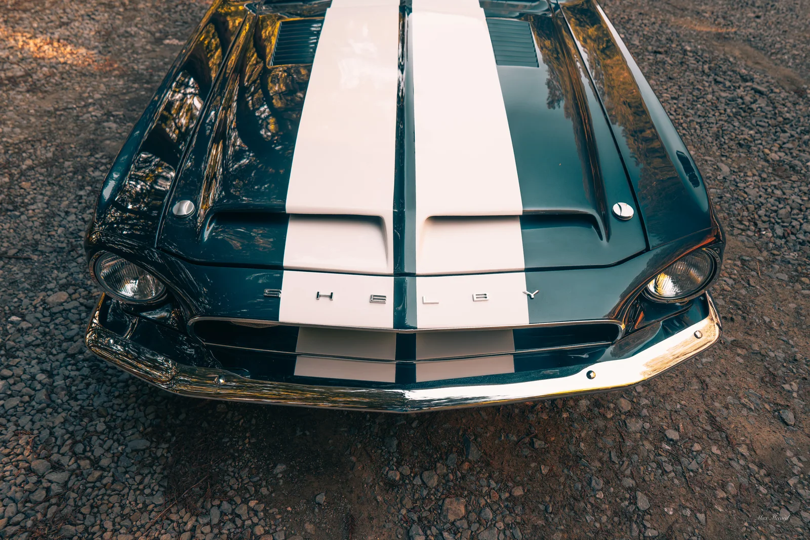 Racing Stripes, JB Today Studios feature