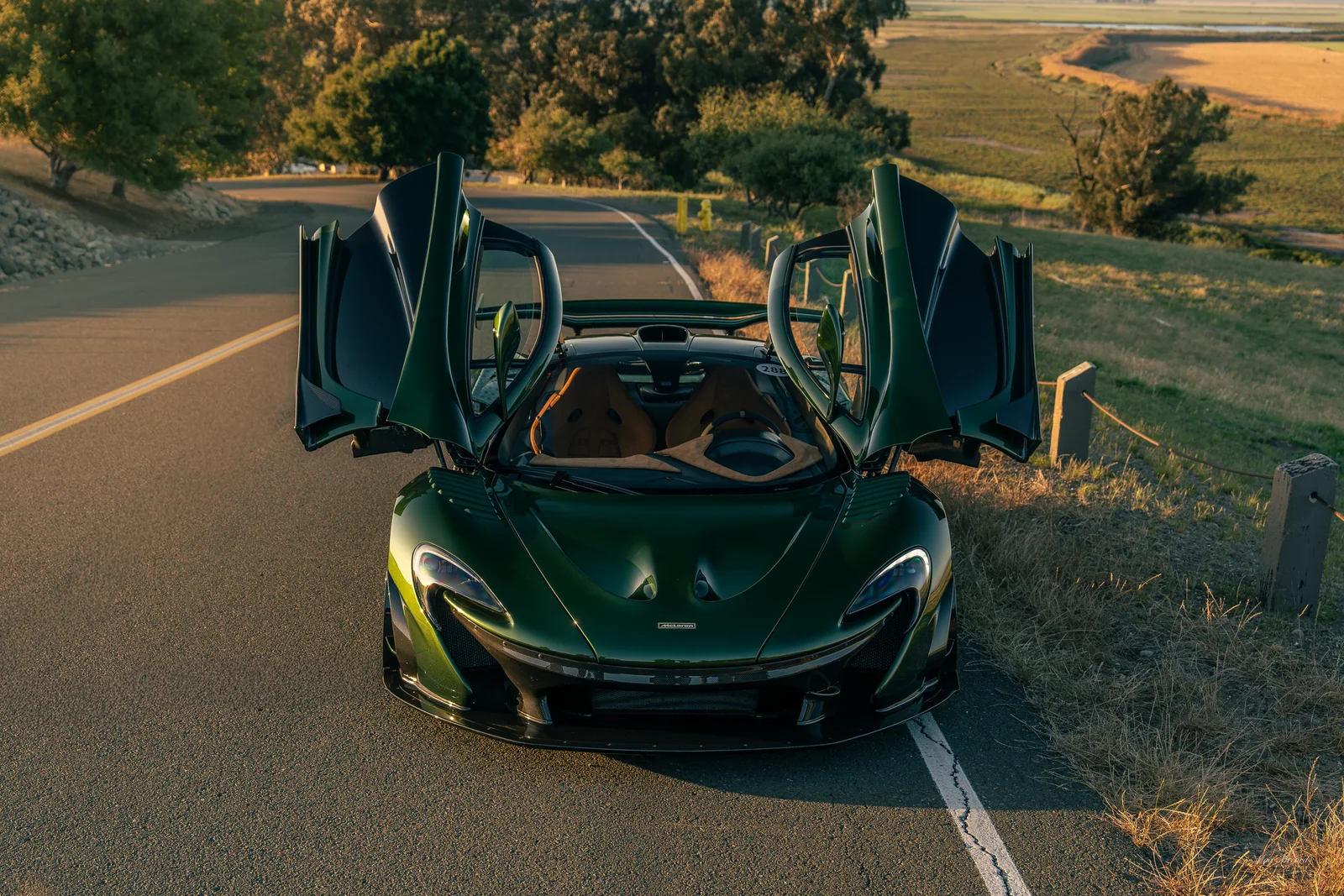 Gullwing Gate, McLaren P1 HDK