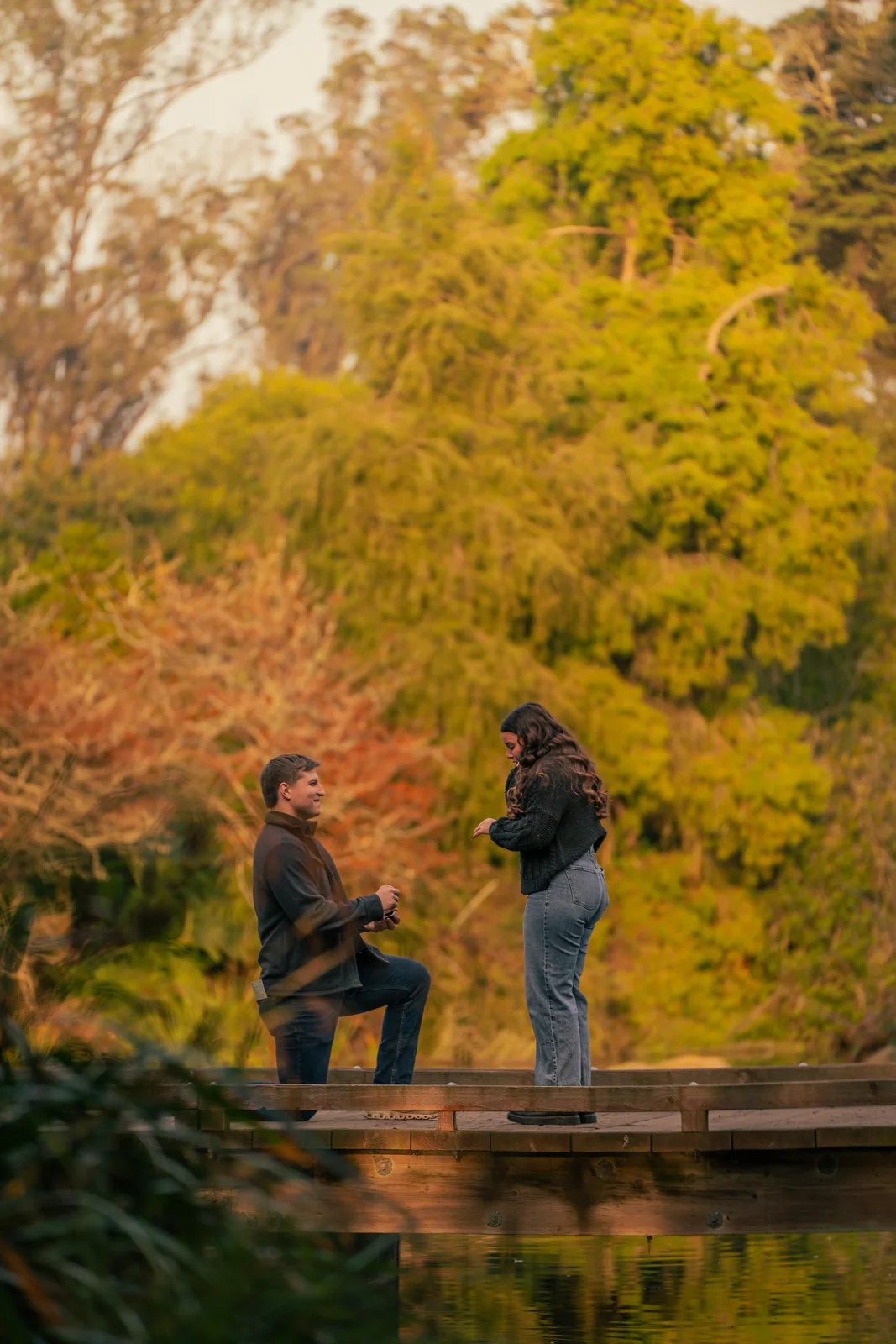 Colton Proposal, photo 1