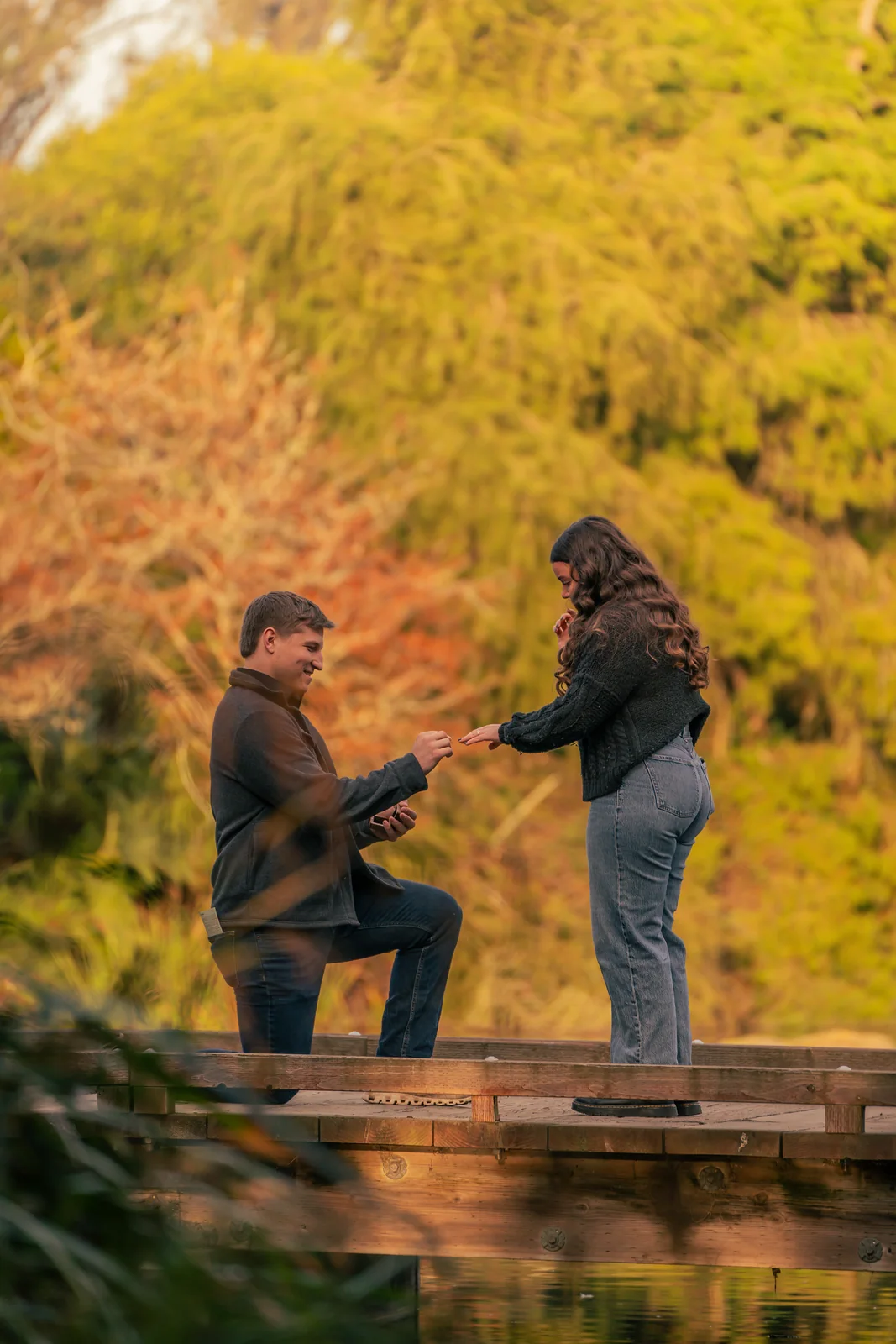 Colton Proposal