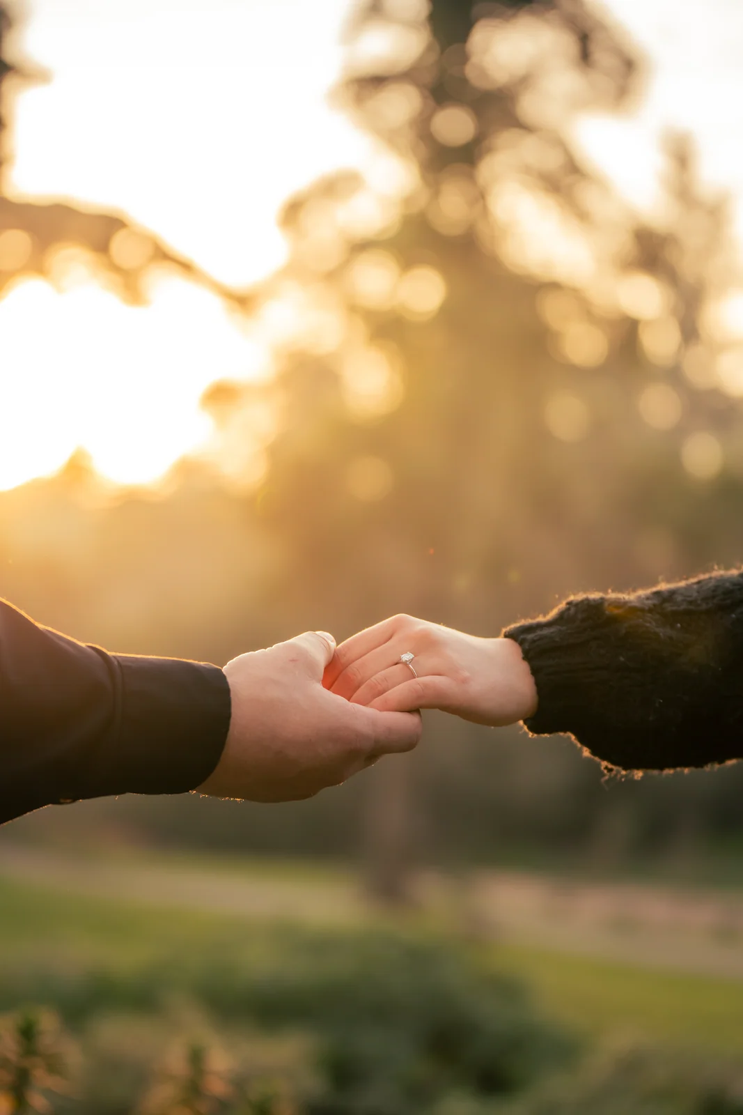 Colton Proposal, photo 10