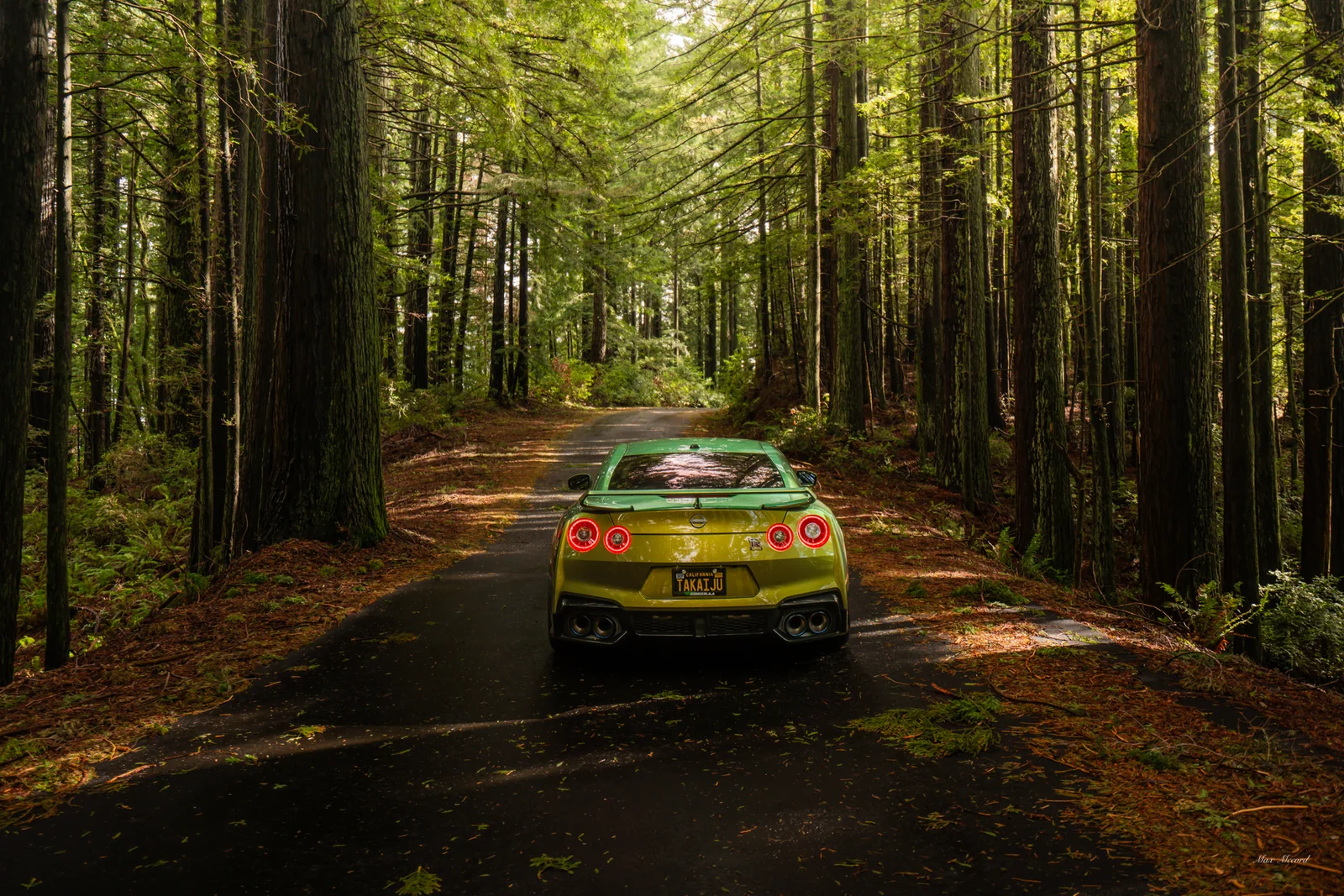 Forest Cathedral, Nissan GT-R T-Spec