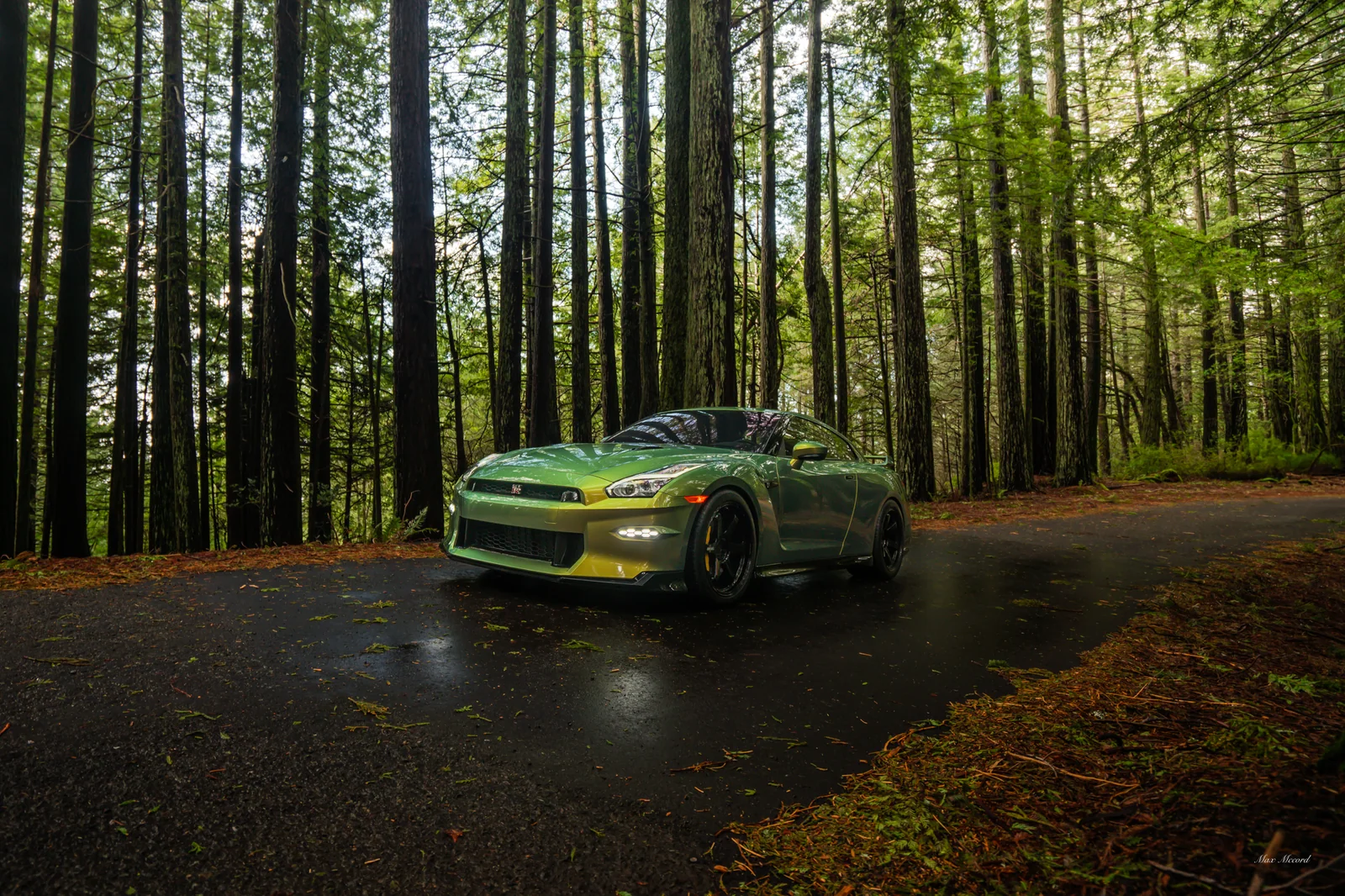 Fern Gully, Nissan GT-R T-Spec