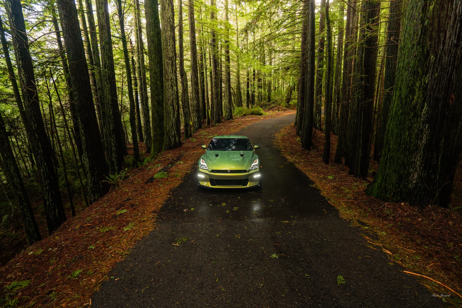 Deep in the Grove, Nissan GT-R T-Spec