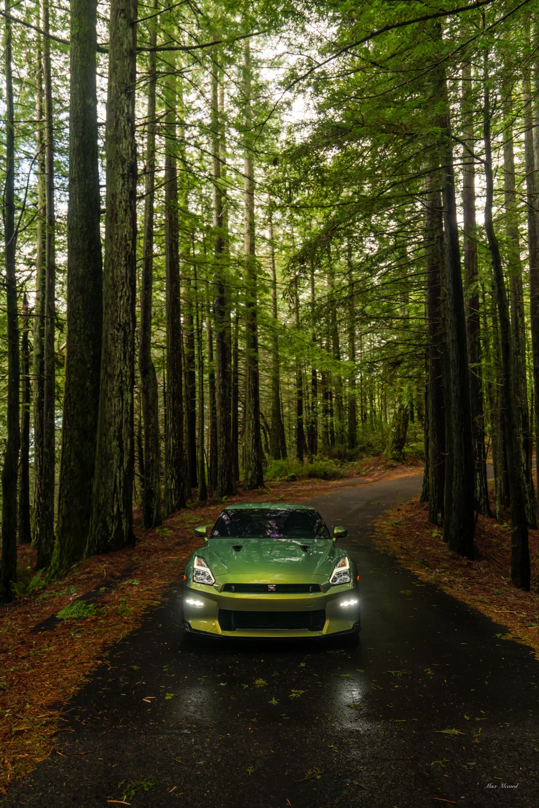 Redwood Portrait, Nissan GT-R T-Spec