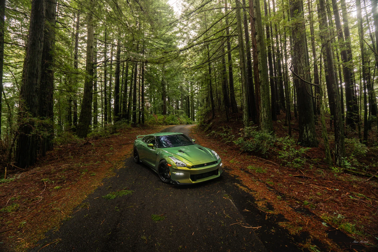 Woodland Path, Nissan GT-R T-Spec