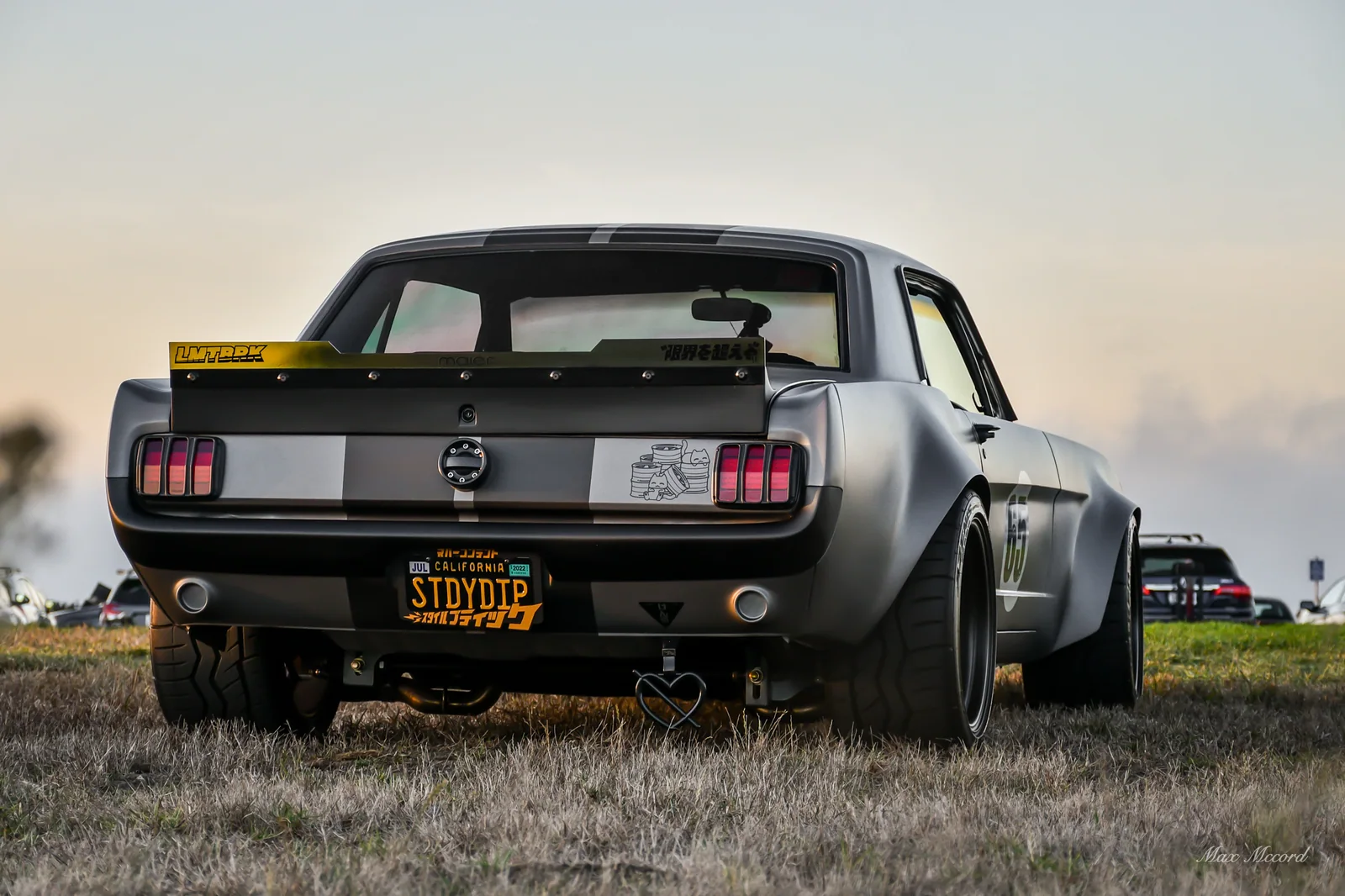 Pony Tail, 1965 Ford Mustang