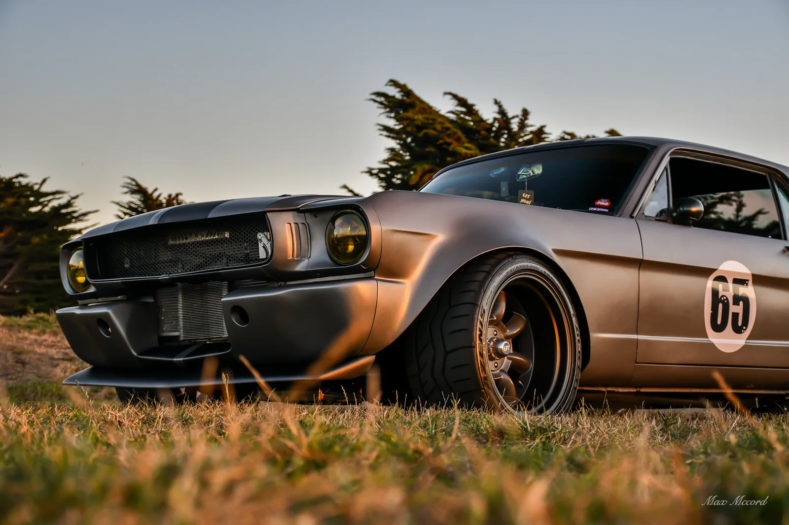 Low in the Grass, 1965 Ford Mustang