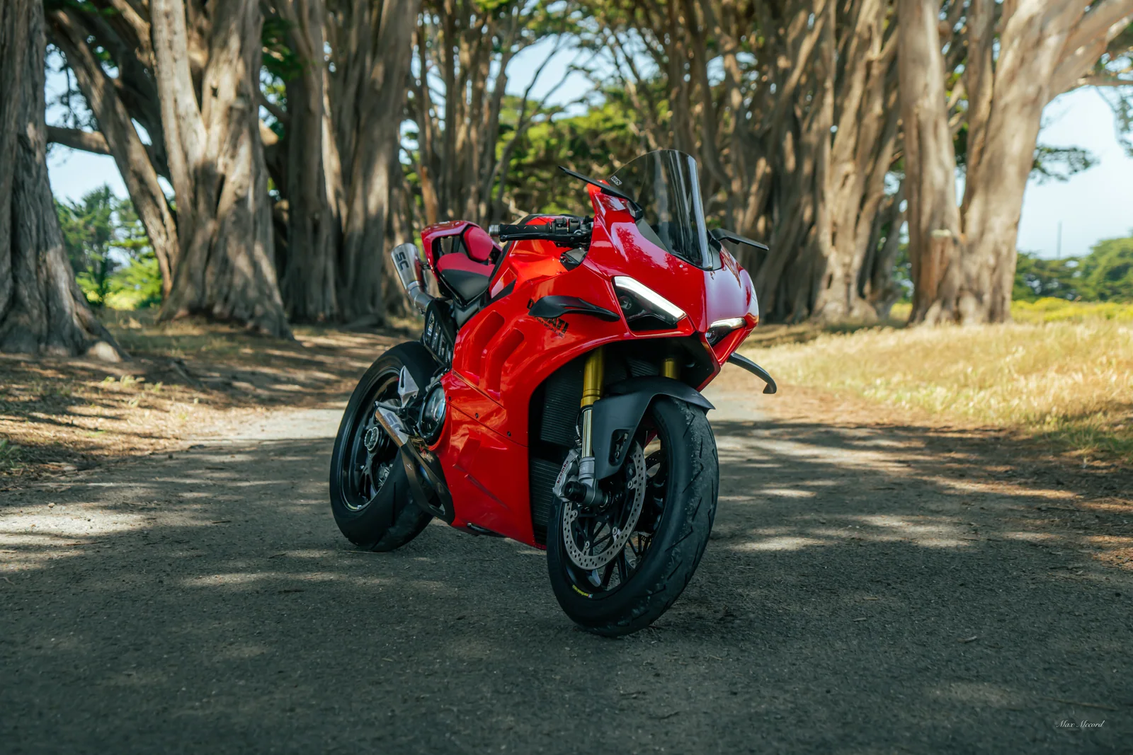 Tree-Lined Red, Ducati Panigale V4 S
