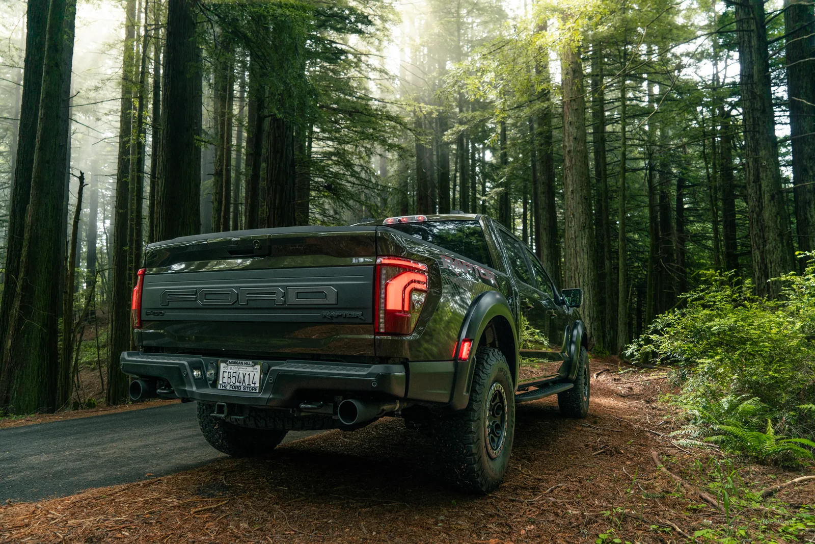 Sun Through the Redwoods, Ford Raptor