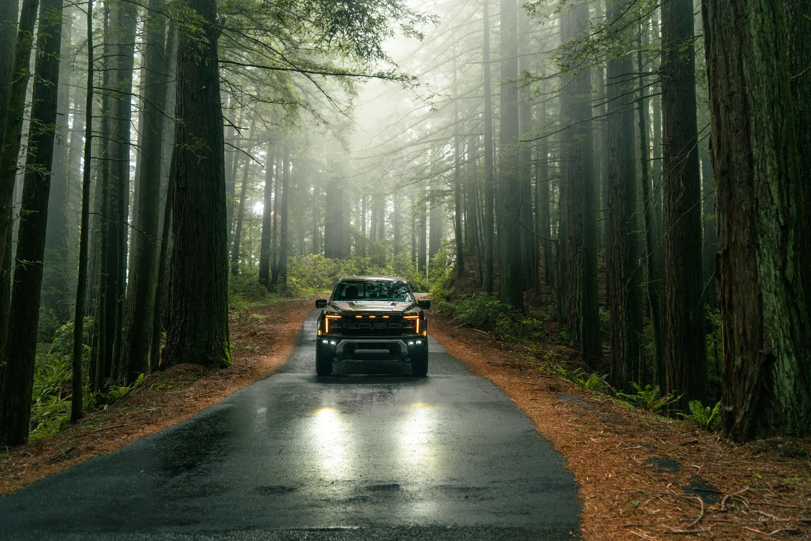 Misty Morning, Ford Raptor
