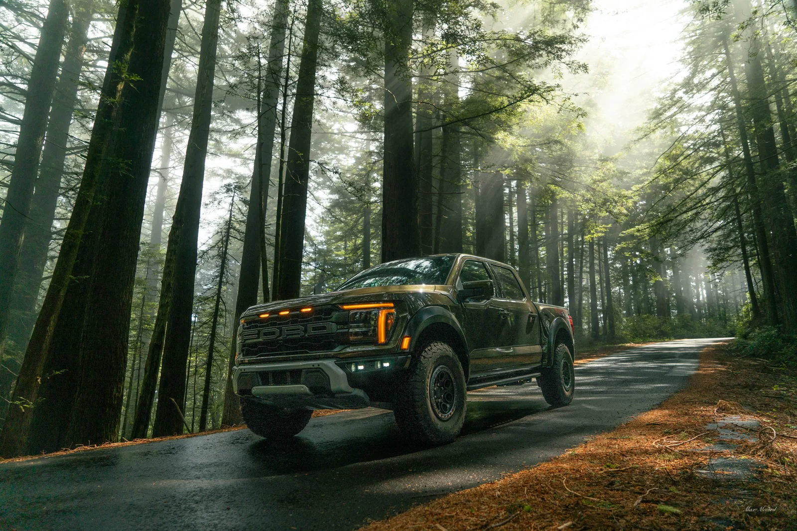 Rain Forest, Ford Raptor