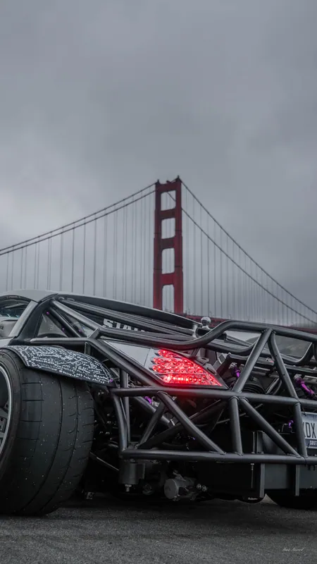 Cage Under the Gate, MLZ in San Francisco