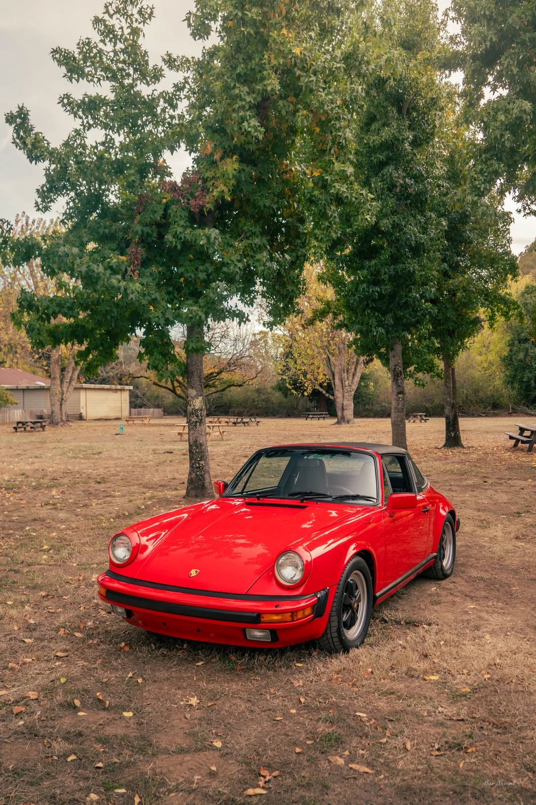 Under the Oaks, Porsche 911 Targa
