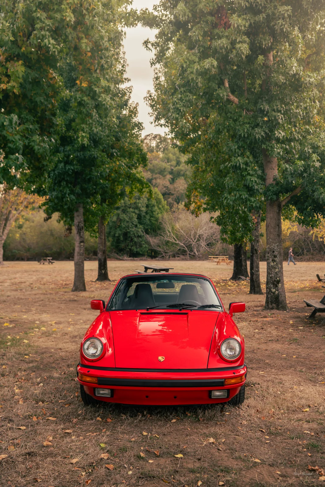 Oak Grove, Porsche 911 Targa