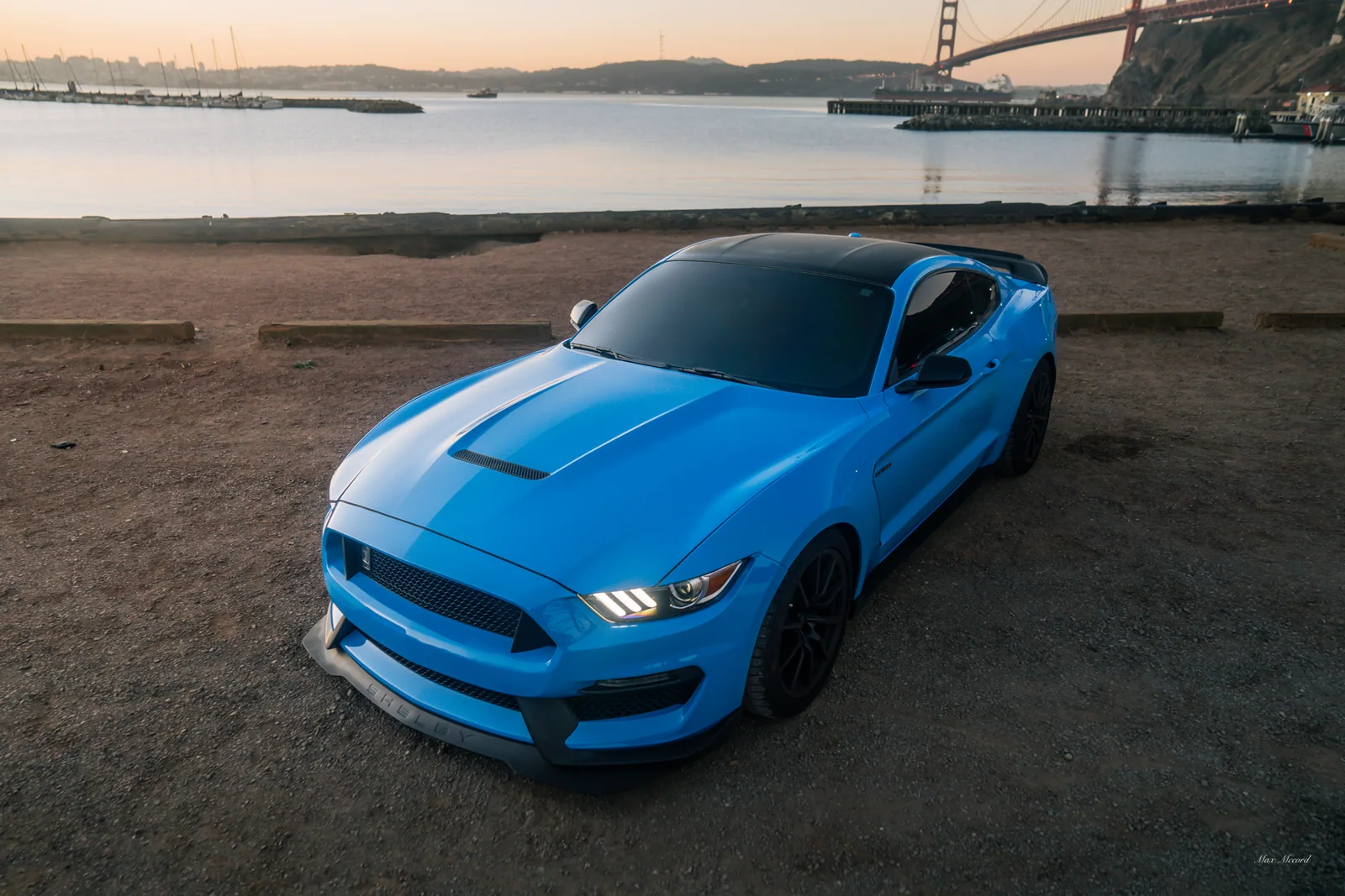Crissy Field Stare, Shelby GT350