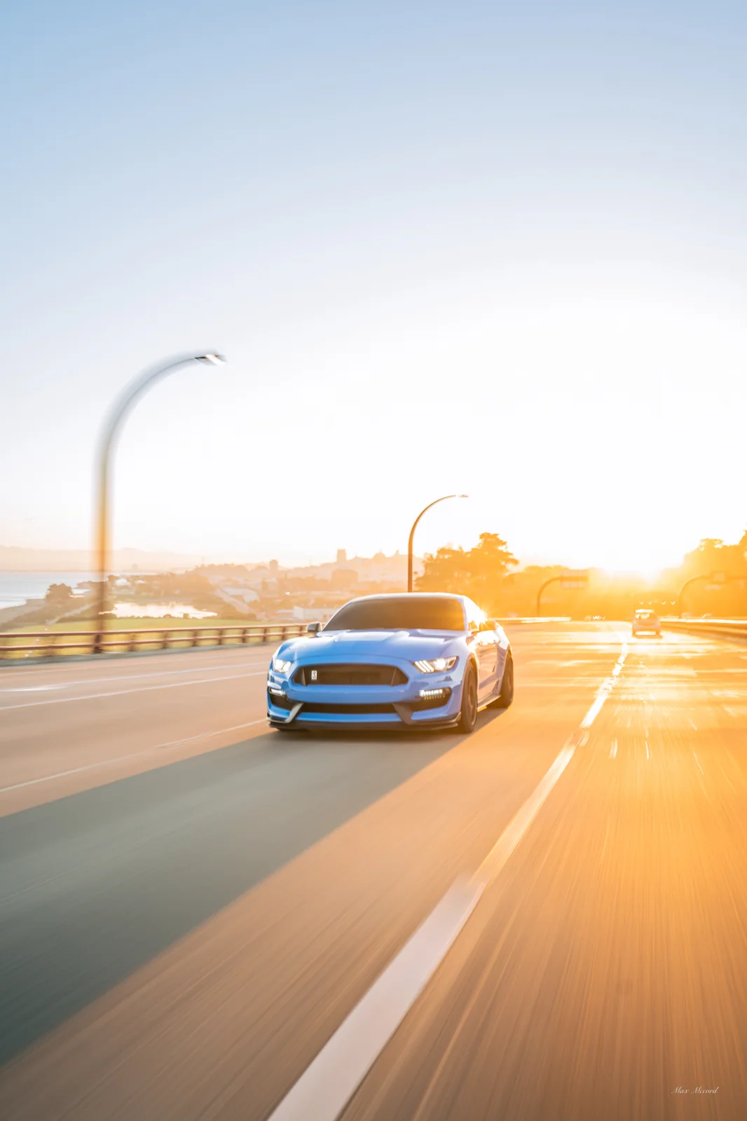 Into the Sunrise, Shelby GT350