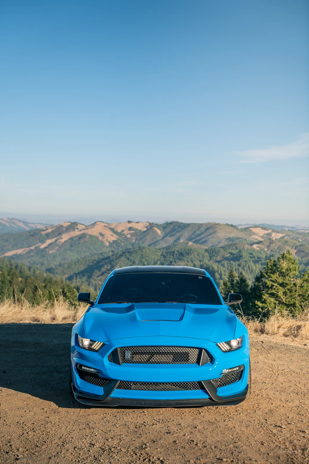 Ridge Face, Shelby GT350