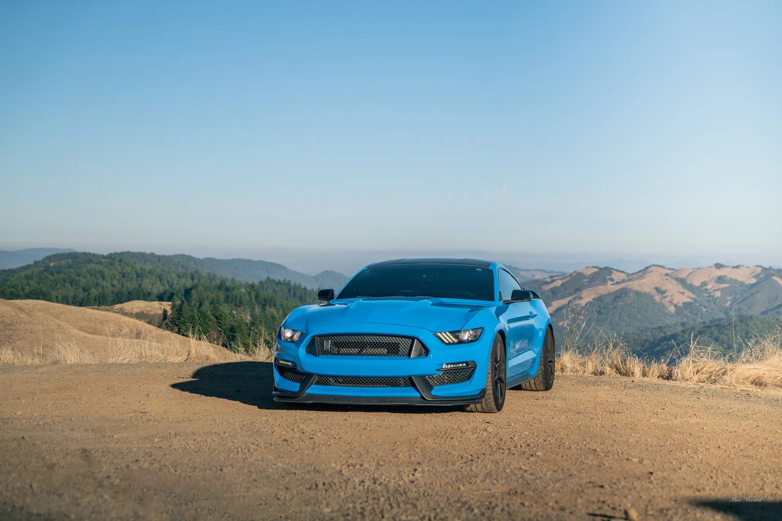 Golden Hills, Shelby GT350