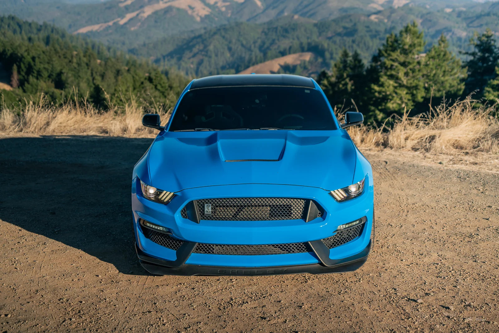 Hood Scoop, Shelby GT350