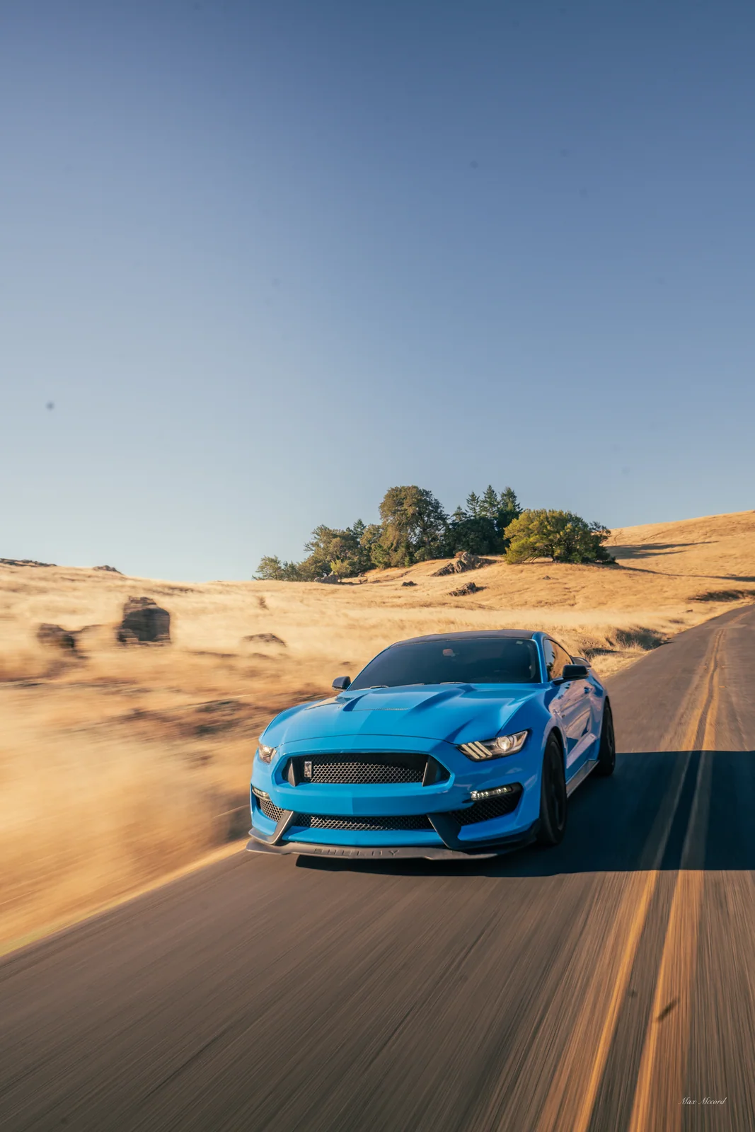 Dust Trail, Shelby GT350