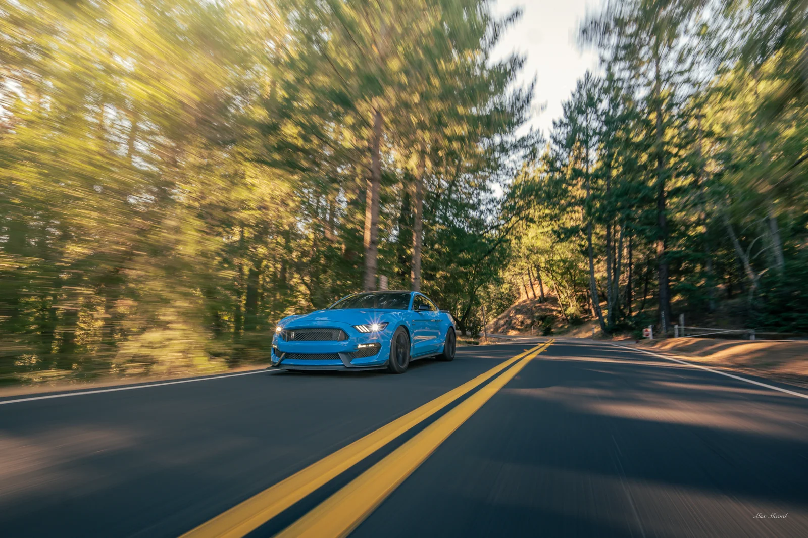 Forest Speed, Shelby GT350