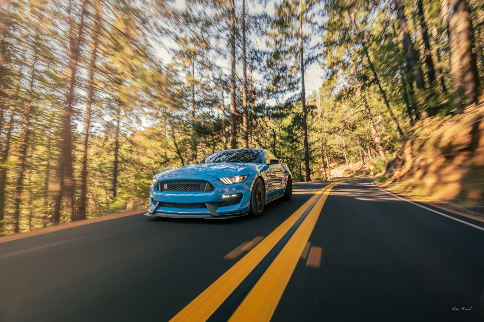 Muir Woods Corner, Shelby GT350