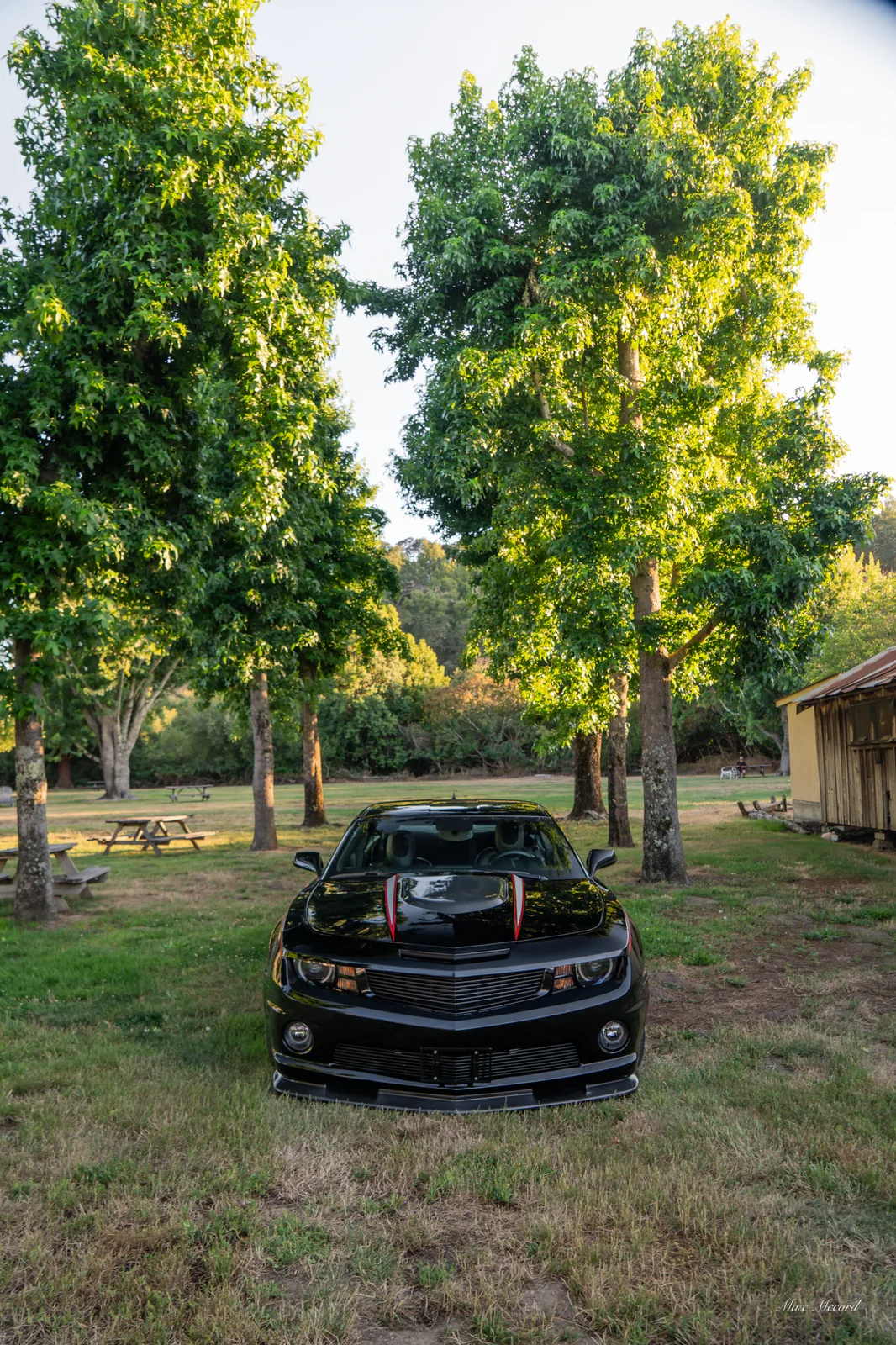 Between the Trees, Chevrolet Camaro Z51